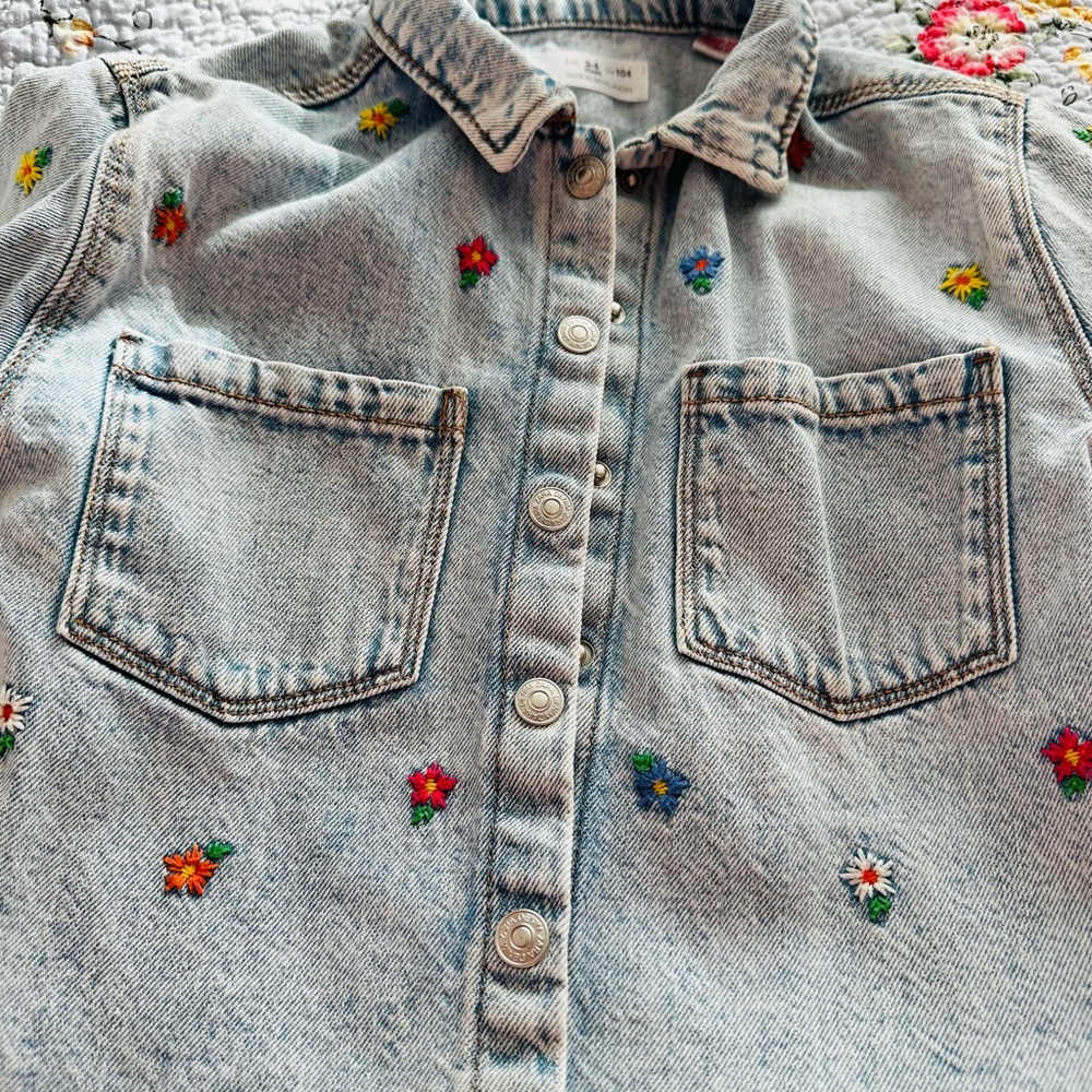 Zara Embroidered Denim jacket